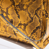 Paris Python