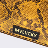 Paris Python